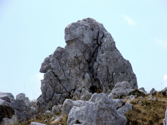 Sculture naturali